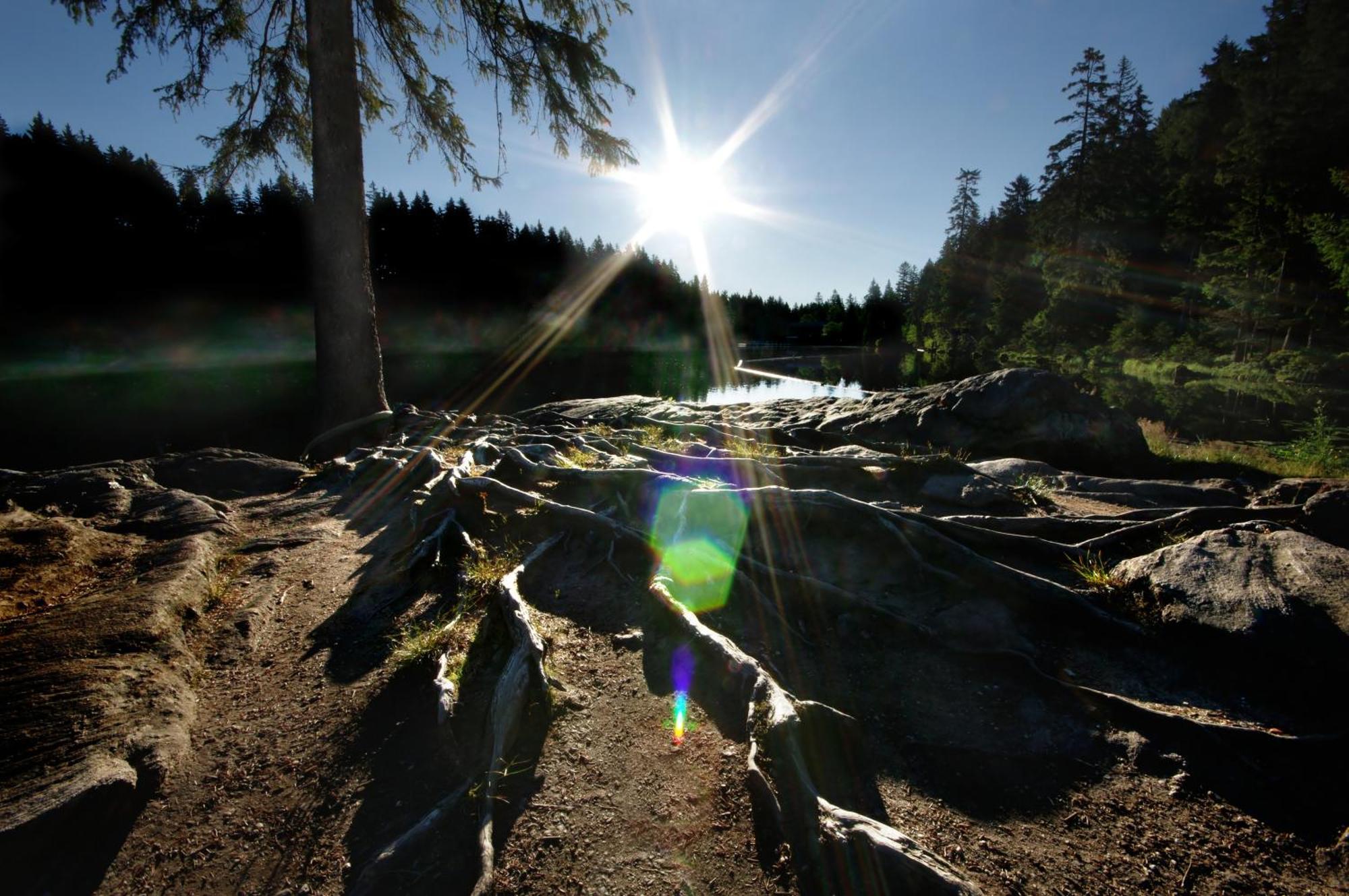 Sonnenhof Resort Bayerischer Wald Lam Exterior foto